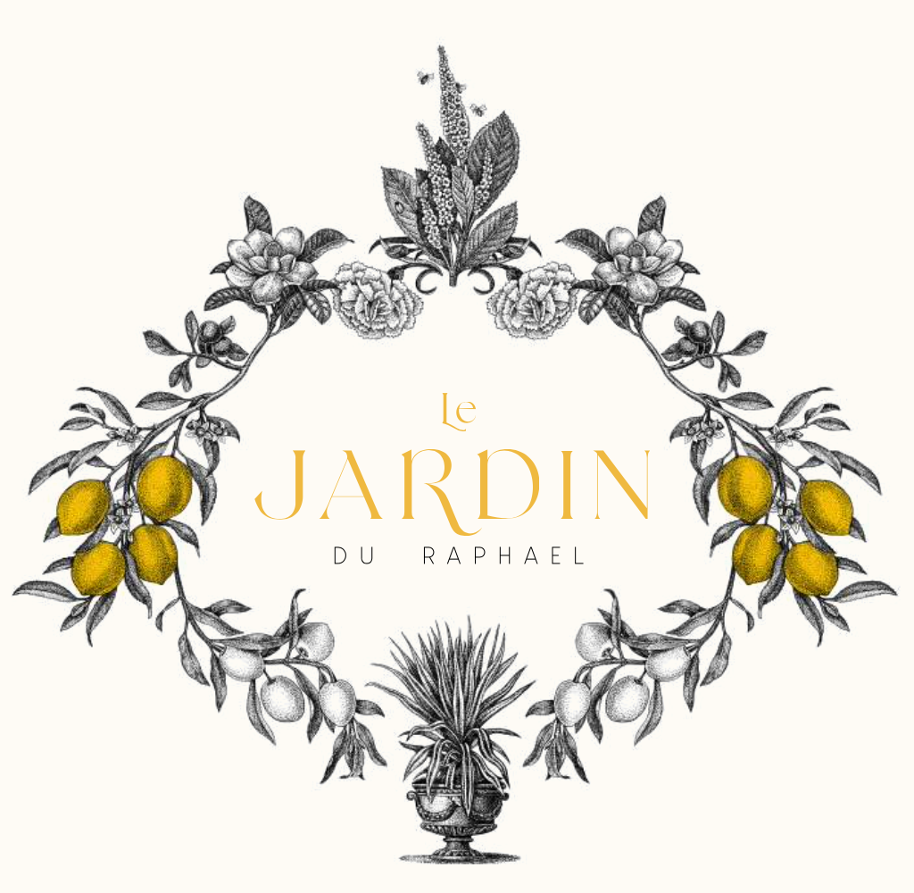 L’Hôtel Raphael & Moma Group lancent « Le Jardin du Raphael »