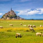 Satisfaction touristique : la France a de plus en plus la cote