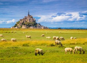 Satisfaction touristique : la France a de plus en plus la cote