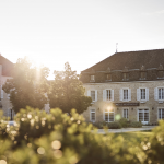 Plongée au cœur des vignes avec le Como Le Montrachet