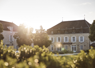 Plongée au cœur des vignes avec le Como Le Montrachet