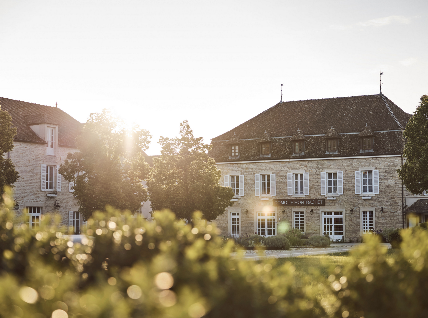 Plongée au cœur des vignes avec le Como Le Montrachet