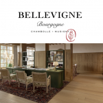 Bellevigne, future expérience signée des Hôtels (très) Particuliers